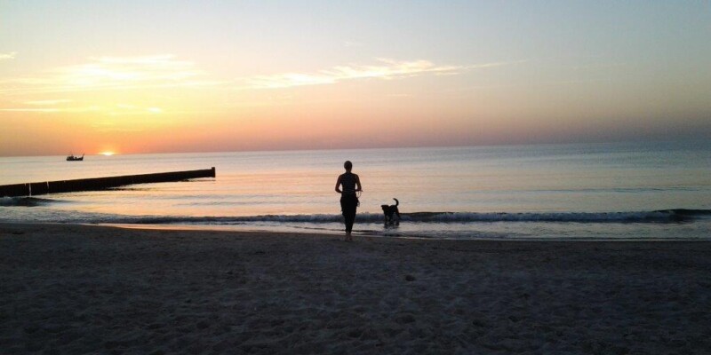 Am Hundestrand in Markgrafenheide Am Hundestrand in Markgrafenheide