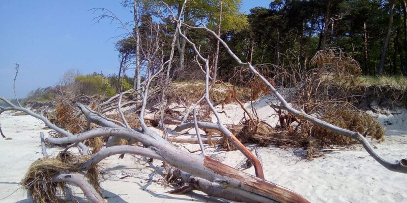Sandstrand von Markgrafenheide Sandstrand von Markgrafenheide
